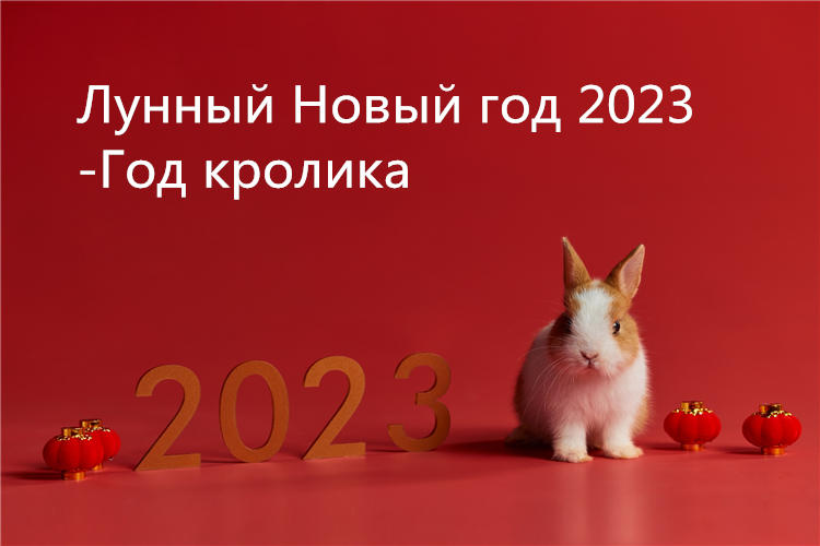 Лунный новый год 2023 кролика