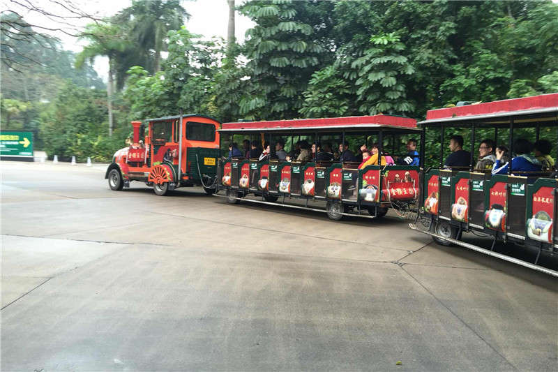 на автобусе посетить Сафари-парк Чимелонг