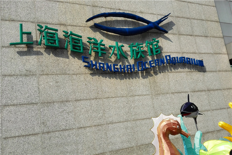 Шанхайский океанариум