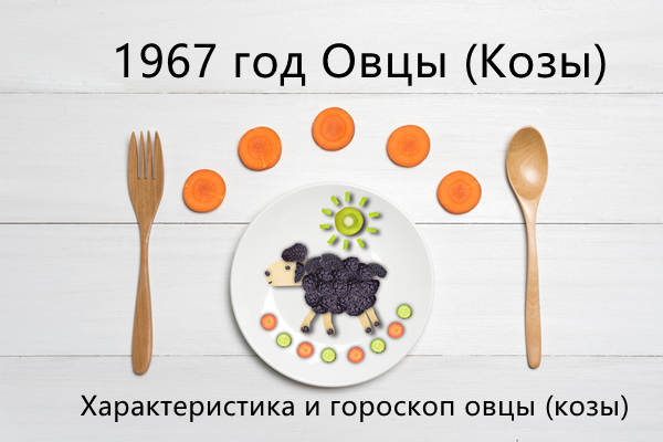 1967 год Овцы