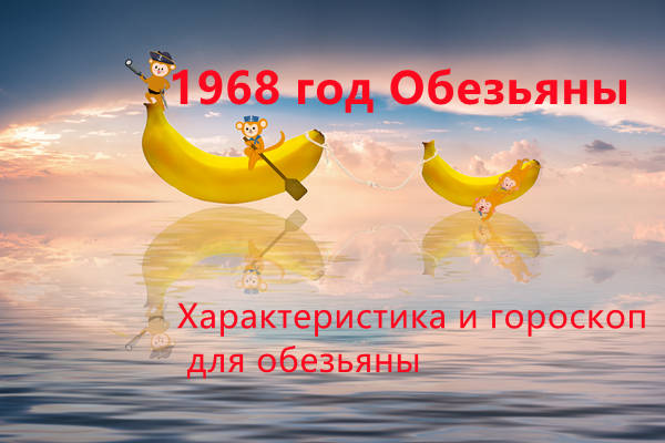 1968 год Обезьяны