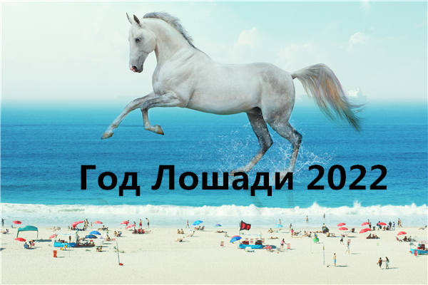 Год Лошади 2022