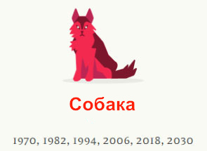 Год Собака