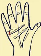 Хиромантия Линия брака на руке-Виды,значения, фото с расшифровкой