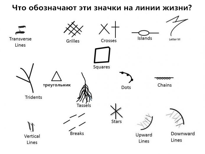 Что обозначают различные значки на линии жизни