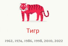 <font color='#333333'>Год тигра когда?Год Тигра характеристика</font>