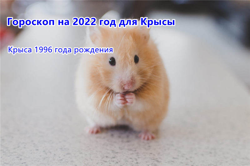 Смотреть Новый Год 1996 Смотреть Новый Год 1996