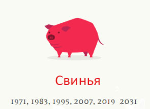 Год Свинья