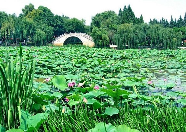 Парк  Зеленого озера Цуй-ху  с восхитительными садами